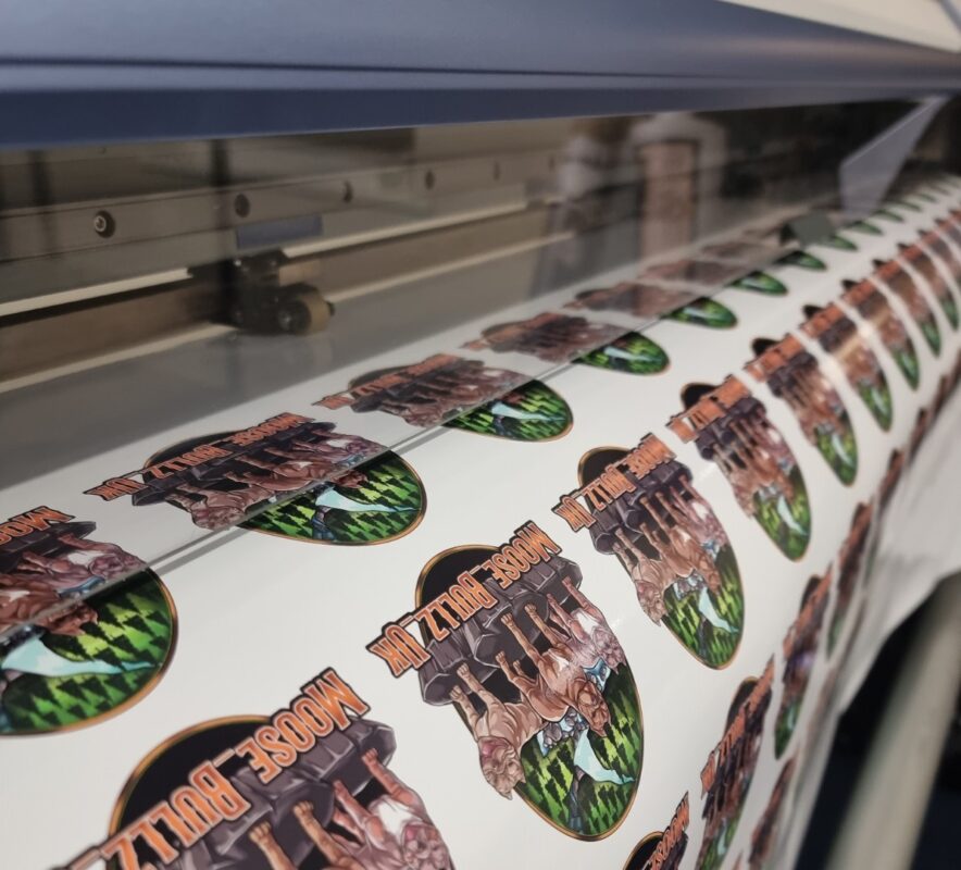 Why Sticker Printing with Prolific Print Makes a Big Difference