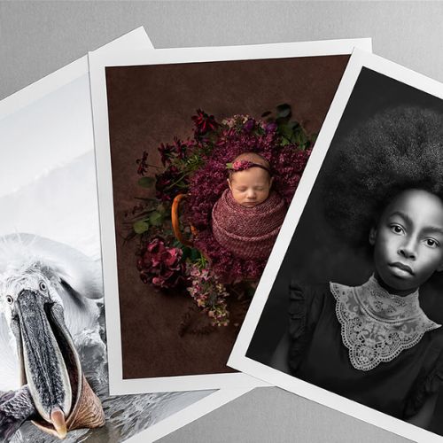 High Quality Photo Prints
