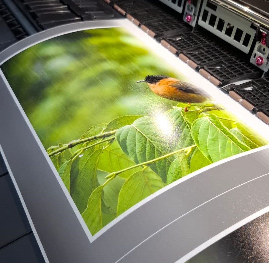 How to Get High-Quality Matte Photo Prints in Kolkata